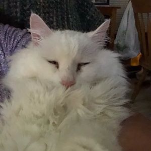 Meet your Posher, Mary